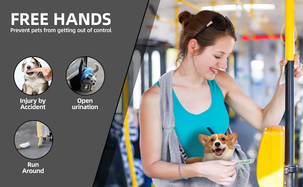 Bequeme Hundetragetasche für Outdoor-Reisen, Katzen und Welpen