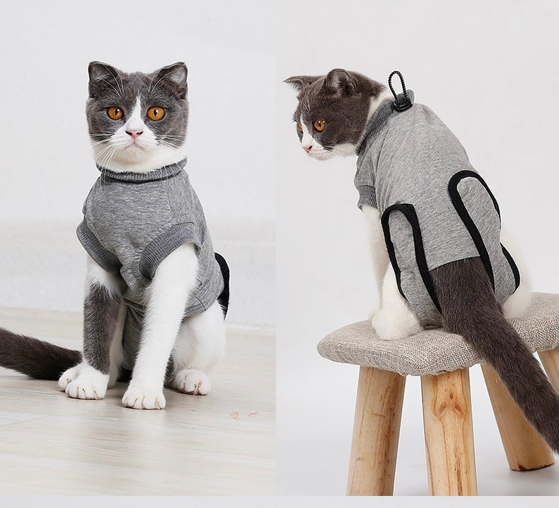 Katzen-Genesungsanzug nach Operationen – Wundschutz, Anti-Lecken & Hautpflege