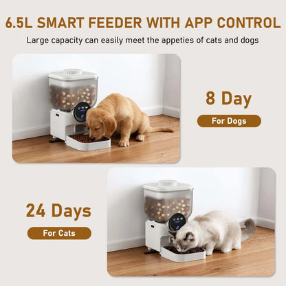 Automatischer Futterautomat 6,5 L mit WLAN App-Steuerung Kamera und Akku für Katzen und Hunde