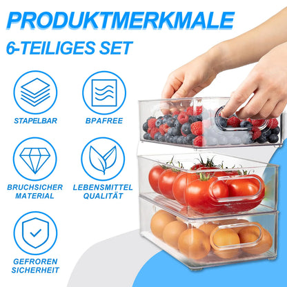 Kühlschrank-Organizer 6er-Set