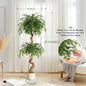 Künstlicher Ficusbaum mit weißem Pflanztopf, 122–183 cm