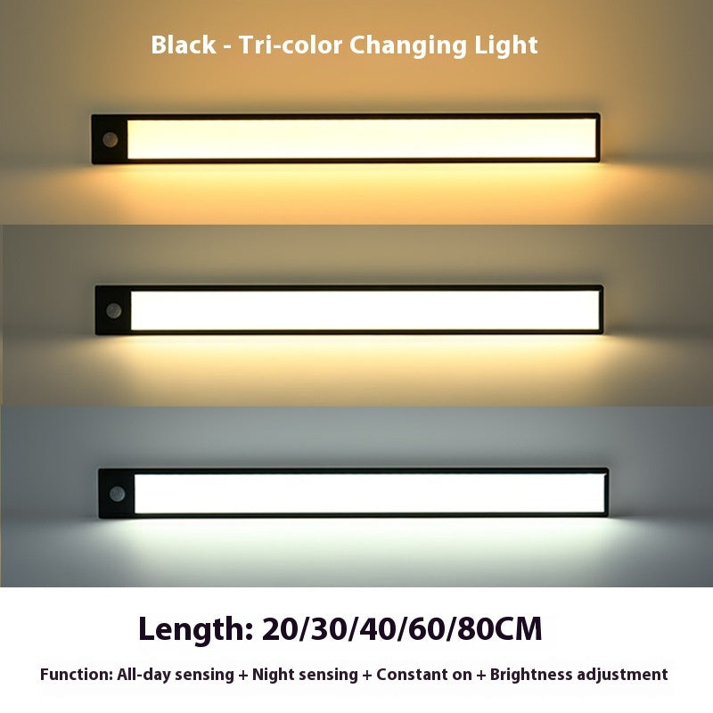 2177e4bcfbbdb1a8acb0682699019361